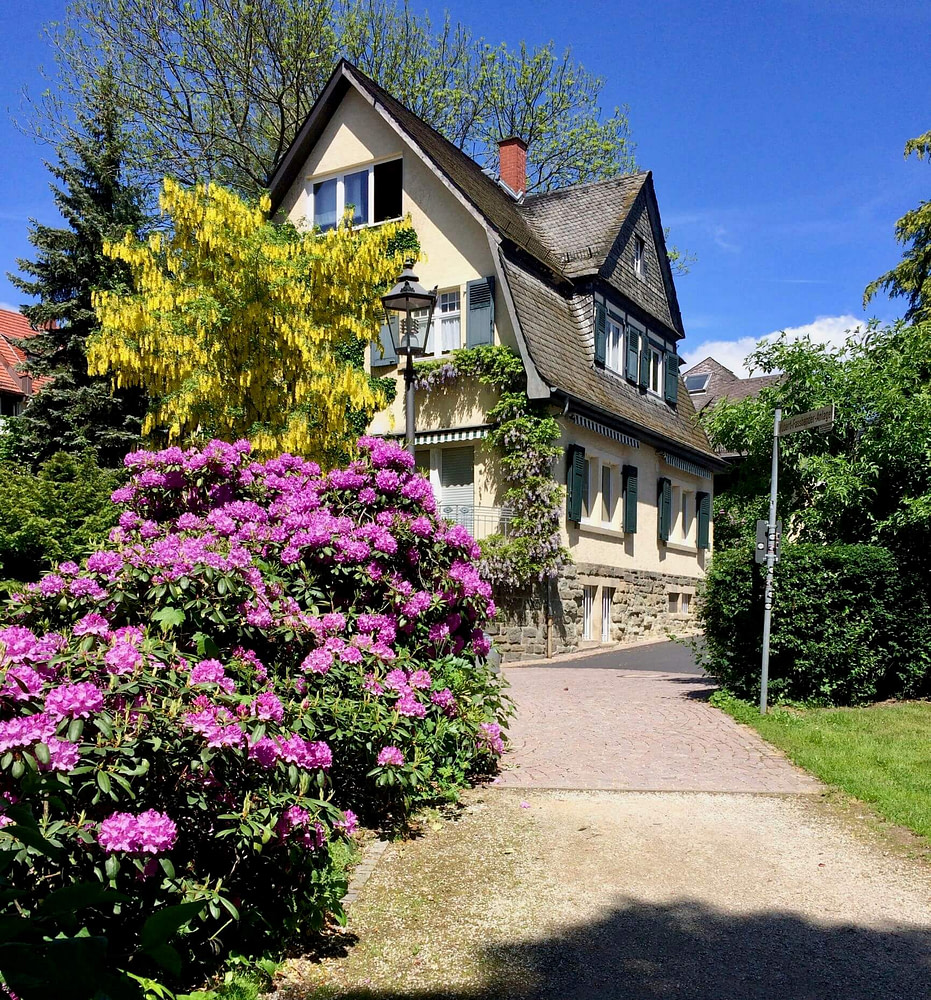 Zahnarztpraxis Königstein